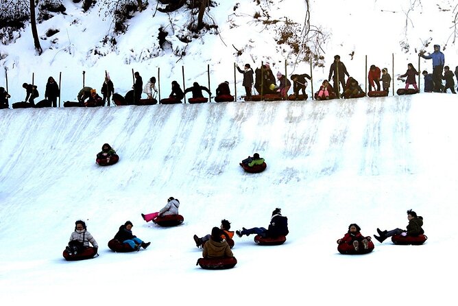 Cheongyang Alps Village and Strawberry Picking Tour in Seoul - Maximum Number of Travelers