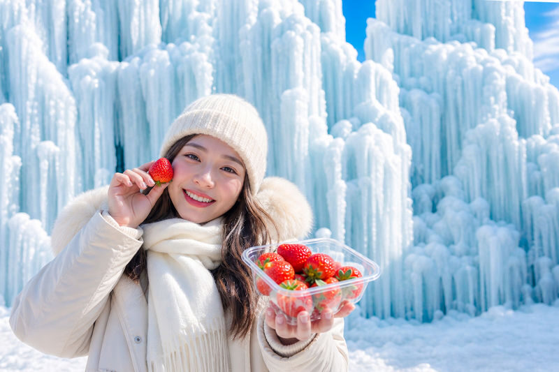 Cheongyang Ice Festival & Nami & Eobi Ice Valley & Strawberry Tour - Key points before you choose