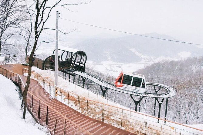 Cheorwon Winter Day Tour: DMZ Monorail, Hantan Canyon & Labor HQ - What the Tour Includes and What to Keep in Mind