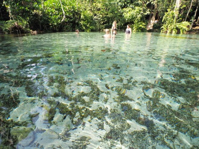 Cheow Lan Lake and Nam Rad Emerald Pool - Swim in Nam Rad Watershed Creek