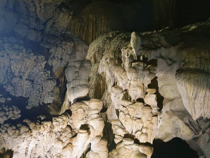 Cheow Larn Lake and Coral Cave Exploration - Wildlife Safari - Activity Details