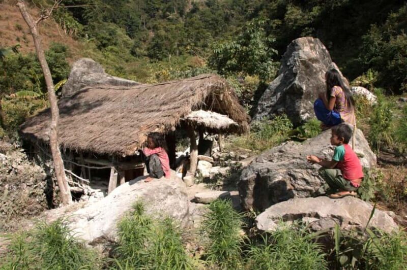 Chepang Hill Homestay Trek and Chitwan National Park Tour - An In-Depth Look at the Trek and Wildlife Tour