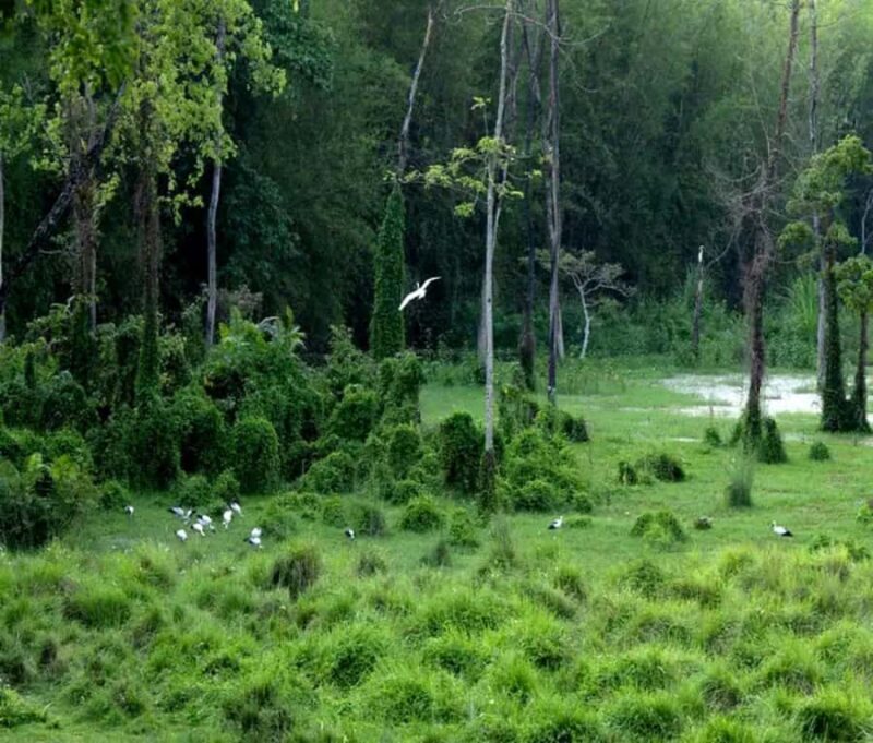 Chepang Hill Homestay Trek and Chitwan National Park Tour - Weather and Packing Tips