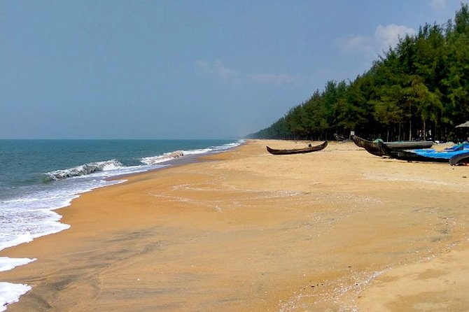 Cherai Beach Tour - Good To Know