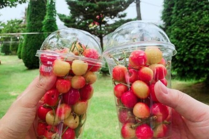 Cherry Blossom & Azalea Festival, China Town, Memorial Hall Trip - Best Time to Visit