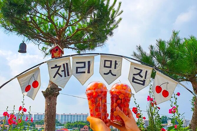 Cherry Blossom & Azalea Festival, China Town, Memorial Hall Trip - Must-See Attractions