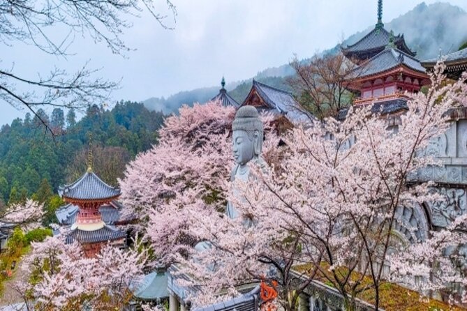 Cherry Blossom Buddha and Mt.Yoshino With Strawberry Picking Tour - Cancellation Policy