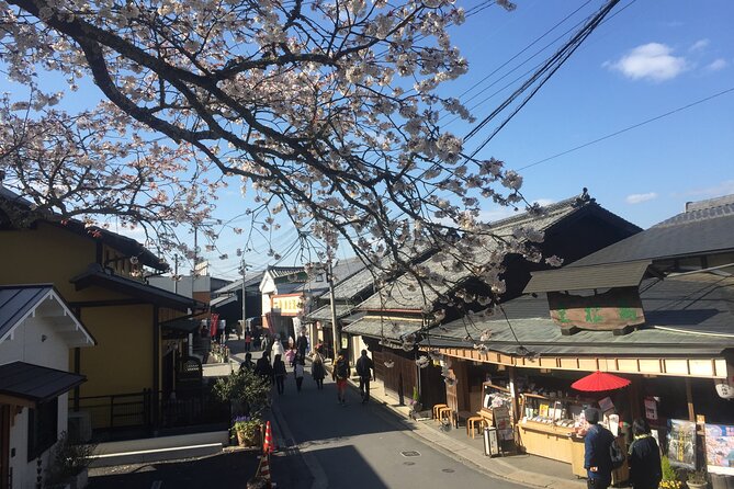 Cherry Blossom Buddha and Mt.Yoshino With Strawberry Picking Tour - The Sum Up