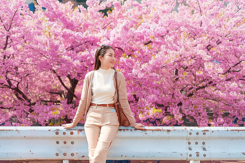 Cherry Blossom Day Tour from Seoul: Nami Island, Rail Bike & Alpaca - Alpaca Garden and the rail bike: fun extras, not the main event