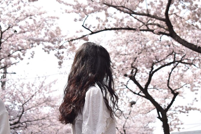 Cherry Blossom East Day Tour in Jeju - Good To Know