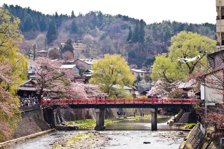Cherry Blossom Festival - 13 days by On The Go Tours: Tour from Tokyo - A spring route from Tokyo to Hakone