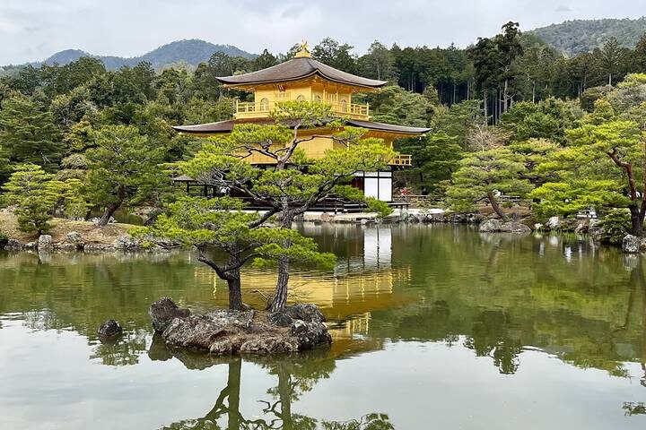 Cherry Blossom Festival - 13 days by On The Go Tours: Tour from Tokyo - Guide quality, meals and what to confirm