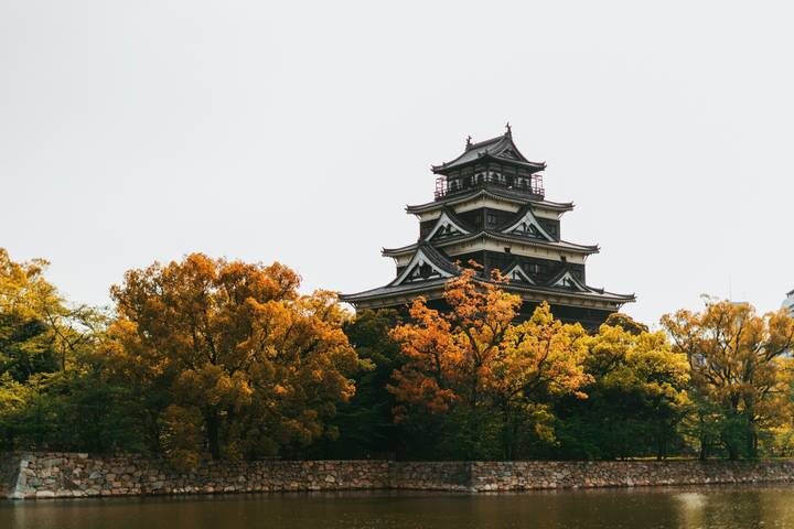 Cherry Blossom & Garden 13-Day Tour by MW Tours - Tokyo’s markets, shrines and city views