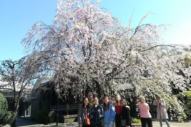 Cherry Blossom Highlights, Asakusa, Ueno, Yanaka - Historical Significance