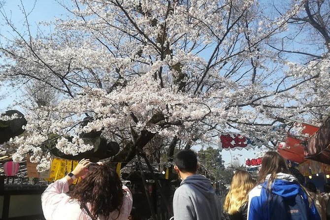 Cherry Blossom Highlights, Asakusa, Ueno, Yanaka - Traditional Crafts