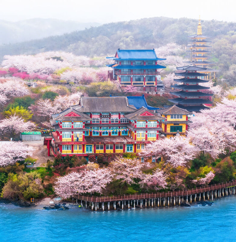 Cherry Blossom One Day Tour from Seoul: Coastal & Temple Spring View - What makes this Taean day trip worth considering