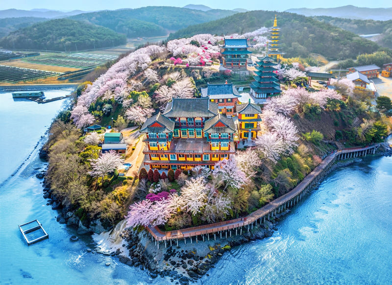 Cherry Blossom One Day Tour from Seoul: Coastal & Temple Spring View - Leaving Seoul for Taean’s spring coast