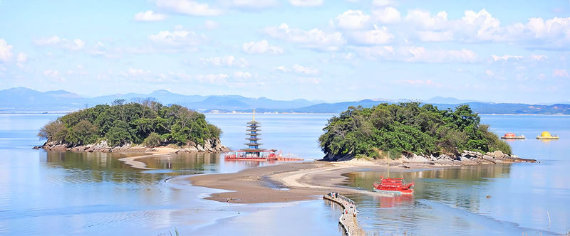 Cherry Blossom One Day Tour from Seoul: Coastal & Temple Spring View - Price and what is included
