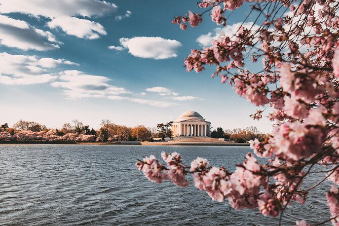 Cherry Blossom Private Bus Tour of Washington DC - FAQs