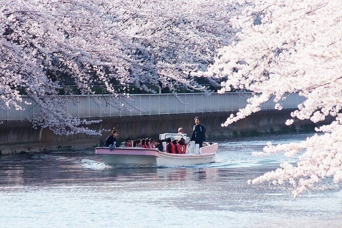 Cherry Blossom Sightseeing River Boat Experience - Discovering the Yakata-bune: A Traditional Tokyo Vessel  