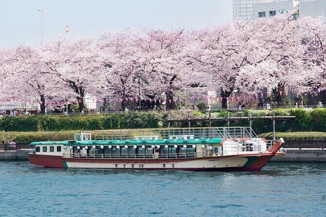 Cherry Blossom Sightseeing River Boat Experience - Itinerary & What to Expect During the Cruise  