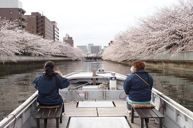 Cherry Blossom Sightseeing River Boat Experience - Who Should Consider This Experience?  
