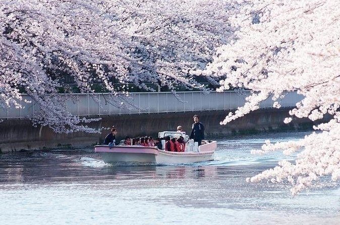 Cherry Blossom Sightseeing River Boat Experience - FAQ  