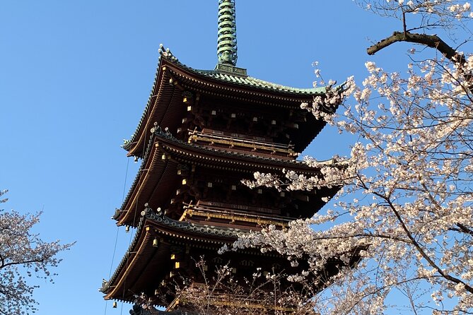 Cherry Blossom Tour in Tokyo - Best Time to Visit Tokyo for Cherry Blossoms