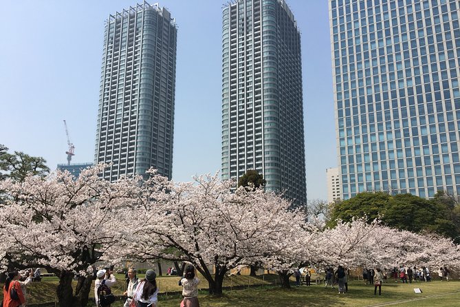 Cherry Blossom Tour in Tokyo - Experiencing Hanami: Traditional Cherry Blossom Picnicking in Tokyo