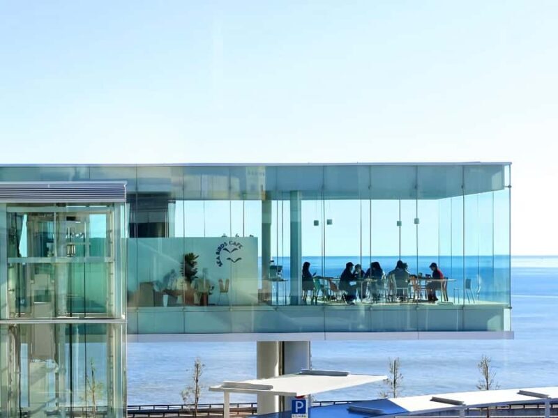 Cherry Blossom Tunnel & Sea: A Spring Day Tour of Ibaraki - Who Would Love This Tour?