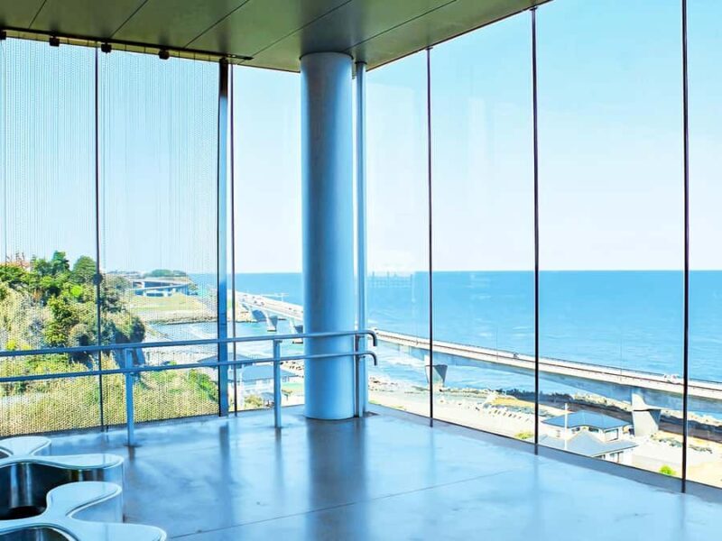 Cherry Blossom Tunnel & Sea: A Spring Day Tour of Ibaraki - FAQ