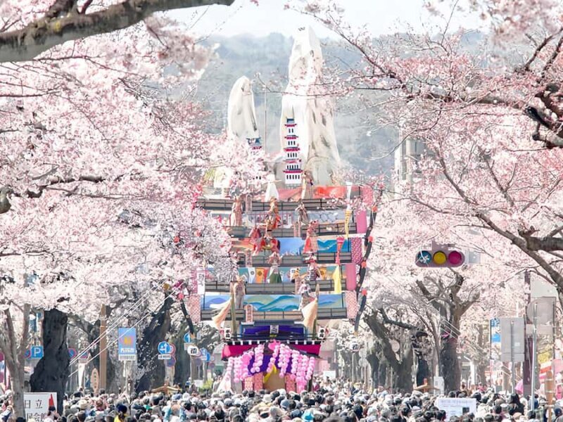 Cherry Blossom Tunnel & Sea: A Spring Day Tour of Ibaraki - FAQ