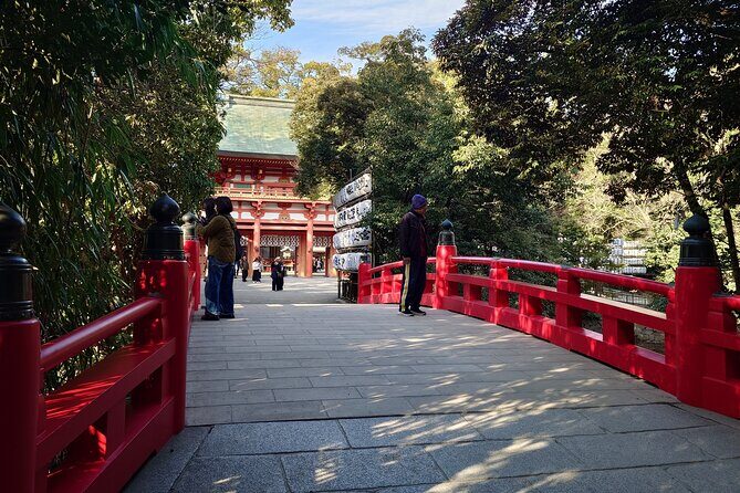 Cherry Blossoms and Strawberry Picking Tour from Tokyo Kawagoe - Who Is This Tour Best For?