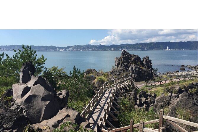 Cherry Blossoms in Kagoshima - What to Expect from the Tour