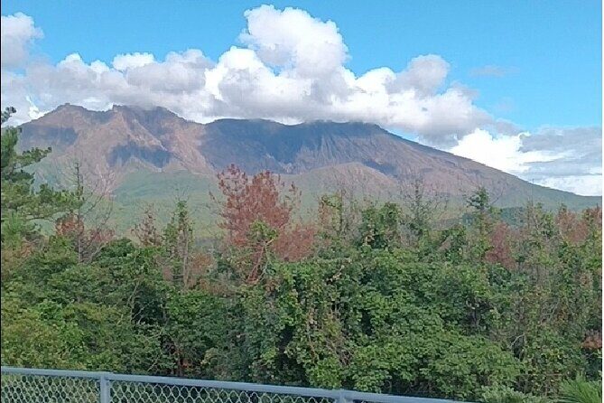 Cherry Blossoms in Kagoshima - Final Thoughts
