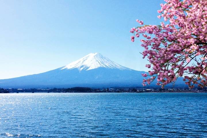 Cherry Blossoms of Japan Tour (Tailor-Made Private) - 14 Days by Odynovo - The best reasons to consider this tour