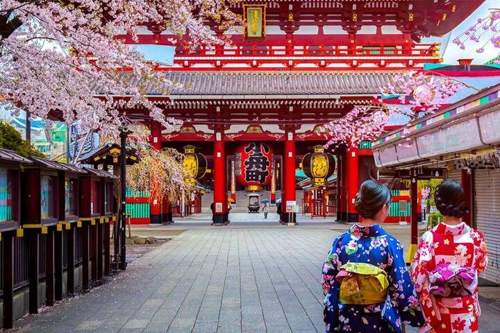 Cherry Blossoms of Japan Tour (Tailor-Made Private) - 14 Days by Odynovo - Takayama and Shirakawa-go’s old homes