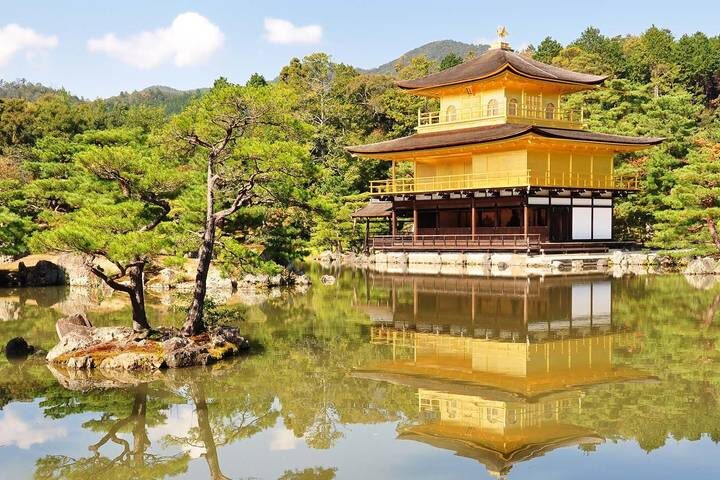 Cherry Blossoms of Japan Tour (Tailor-Made Private) - 14 Days by Odynovo - Nara’s deer and Osaka’s blossom parks