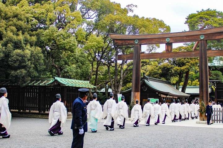 Cherry Blossoms of Japan Tour (Tailor-Made Private) - 14 Days by Odynovo - Should you book this Japan tour?