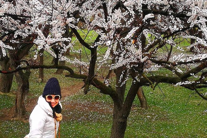 Cherry Blossoms Trip to Northern Areas of Pakistan 2020 (8D 7N) - Itinerary Details