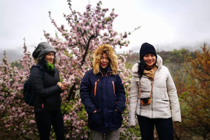 Cherry Blossoms Trip to Northern Areas of Pakistan 2020 (8D 7N) - Pricing Information