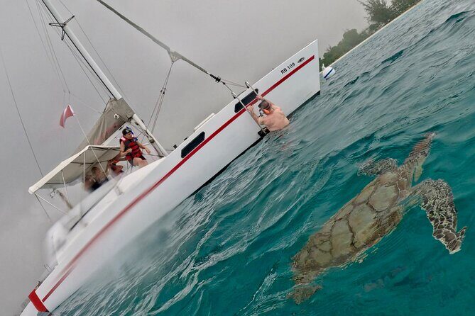 Ches snorkel cruise! turtles & shipwrecks (semi private) - FAQ