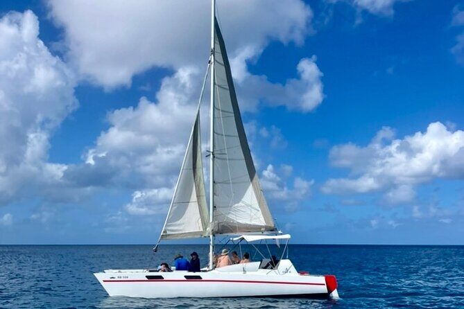 Ches snorkel cruise! turtles & shipwrecks (semi private) - Final Thoughts