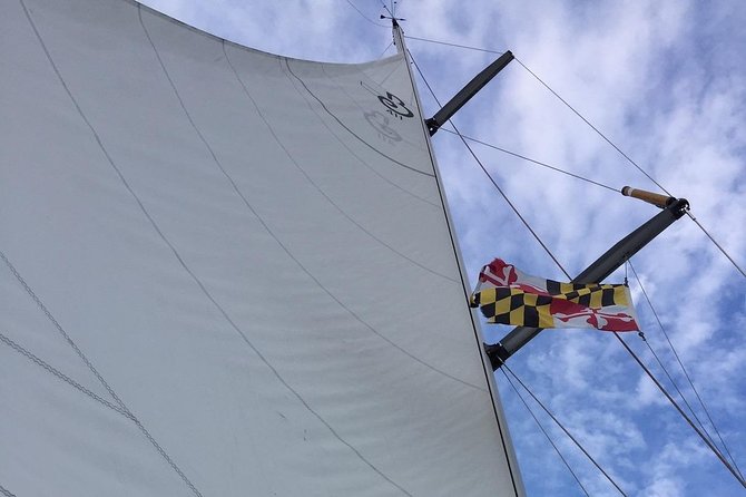 Chesapeake Bay Small-Group Yacht Sailing Tour  - Washington DC - What to Expect on the Tour