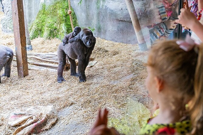 Chessington World of Adventures Resort Admission Ticket - Additional Information