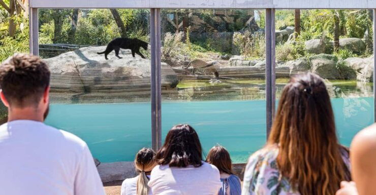 Chessy: Parrot World Immersive Animal Park Day Pass - Attractions and Experiences