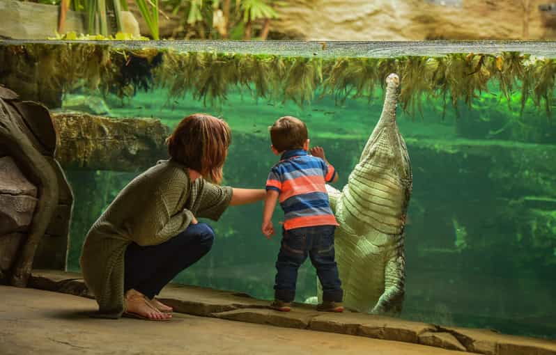 Chester: Chester Zoo Entry Ticket - The Value Proposition