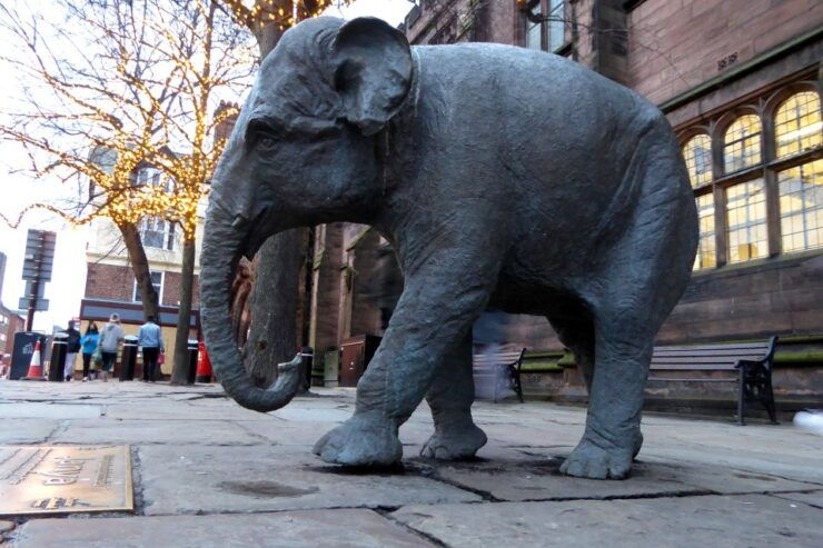 Chester: Self-Guided City Sightseeing Treasure Hunt - Activity Details