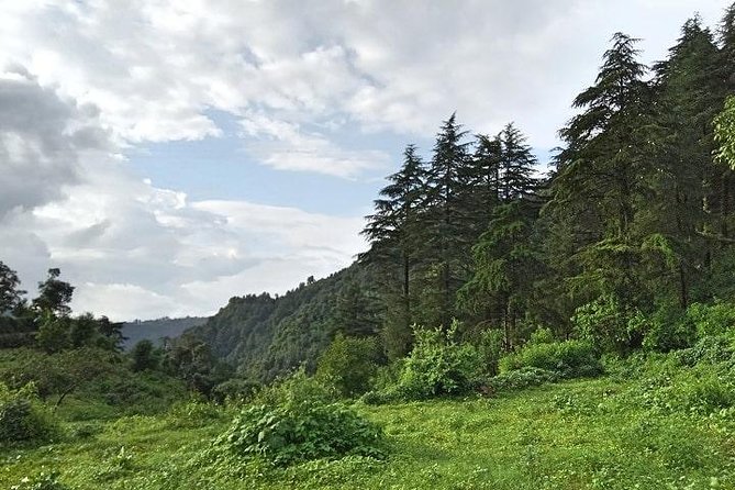 Chhaskhet Nature Walk - Route Details