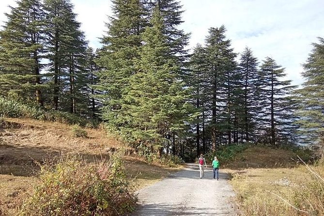 Chhaskhet Nature Walk - Departure Information